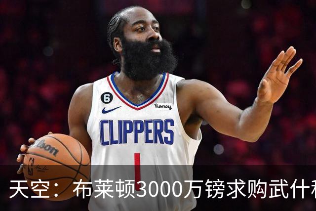 天空：布莱顿3000万镑求购武什科维奇，预计热刺对其估值超6000万